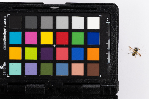  ( - GUAN-PN-21)  @11 [ ] Copyright (c) (2105) Javier Freytes University of Puerto Rico