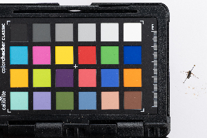  ( - GUAN-PN-25)  @11 [ ] Copyright (c) (2121) Javier Freytes University of Puerto Rico