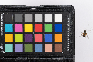  ( - GUAN-PN-30)  @11 [ ] Copyright (c) (2141) Javier Freytes University of Puerto Rico