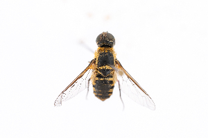  ( - GUAN-PN-30)  @11 [ ] Copyright (c) (2142) Javier Freytes University of Puerto Rico