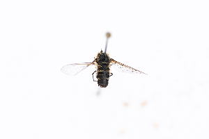  ( - GUAN-PN-25)  @11 [ ] Copyright (c) (2122) Javier Freytes University of Puerto Rico