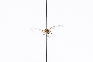  ( - GUAN-PN-25)  @11 [ ] Copyright (c) (2124) Javier Freytes University of Puerto Rico