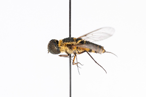  ( - GUAN-PN-30)  @11 [ ] Copyright (c) (2143) Javier Freytes University of Puerto Rico