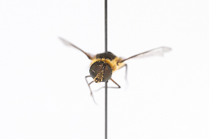  ( - GUAN-PN-30)  @11 [ ] Copyright (c) (2144) Javier Freytes University of Puerto Rico