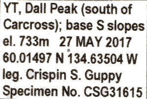  ( - CSG31615)  @11 [ ] CreativeCommons - Attribution Non-Commercial (2018) Crispin S Guppy Crispin S Guppy Collection