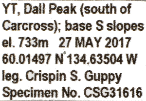  ( - CSG31616)  @11 [ ] CreativeCommons - Attribution Non-Commercial (2018) Crispin S Guppy Crispin S Guppy Collection