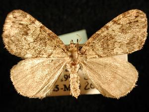  ( - NFRC-P-2007-100057)  @13 [ ] CreativeCommons - Attribution (2010) Jeremy deWaard University of British Columbia