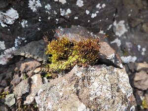  ( - HG 09-08)  @11 [ ] No Rights Reserved  Unspecified Unspecified