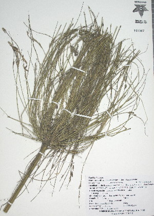  ( - XAL-45)  @11 [ ] Copyright  T. Mejia 2010 Unspecified