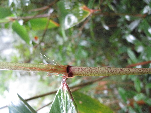  ( - XAL-112)  @11 [ ] Copyright  T. Mejia 2012 Unspecified