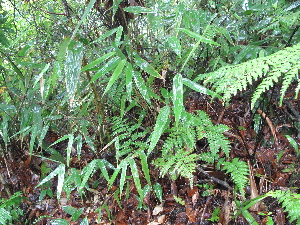  ( - XAL-112)  @11 [ ] Copyright  T. Mejia 2012 Unspecified