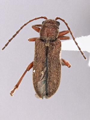  ( - CCDB-40914-B07)  @11 [ ] by-nc-nd (2024) Hume Douglas Agriculture and Agri-Food Canada