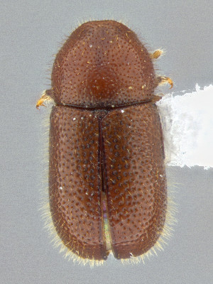  ( - CCDB-50410-E02)  @11 [ ] by-nc-nd (2025) Hume Douglas Agriculture and Agri-Food Canada