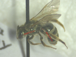  ( - SEL83)  @11 [ ] Unspecified (default): All Rights Reserved  Unspecified Unspecified