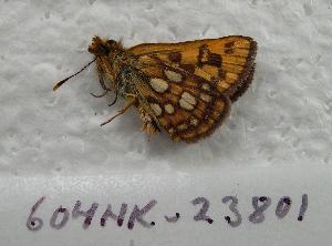  ( - 604NK-23801)  @12 [ ] Unspecified (default): All Rights Reserved  Unspecified Unspecified