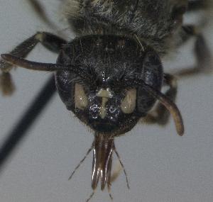  ( - Bee6-1)  @12 [ ] Copyright (2010) Unspecified Unspecified