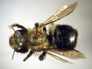  ( - Bee83)  @13 [ ] Copyright (2010) Unspecified Unspecified