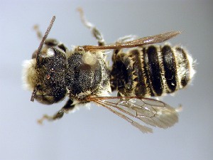  ( - Bee243)  @13 [ ] Copyright (2010) Unspecified Unspecified