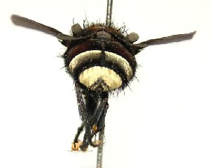  ( - DHJPAR0001122)  @14 [ ] Unspecified (default): All Rights Reserved  Unspecified Unspecified