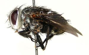 ( - DHJPAR0001211)  @13 [ ] Unspecified (default): All Rights Reserved  Unspecified Unspecified