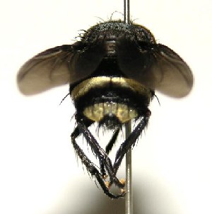  ( - DHJPAR0001273)  @13 [ ] Unspecified (default): All Rights Reserved  Unspecified Unspecified
