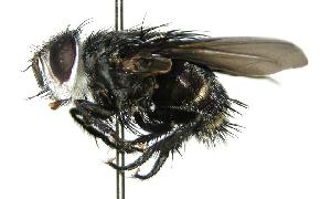  ( - DHJPAR0001718)  @14 [ ] Unspecified (default): All Rights Reserved  Unspecified Unspecified