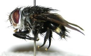  ( - DHJPAR0001727)  @14 [ ] Unspecified (default): All Rights Reserved  Unspecified Unspecified