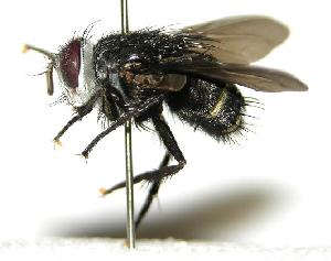  ( - DHJPAR0001738)  @14 [ ] Unspecified (default): All Rights Reserved  Unspecified Unspecified