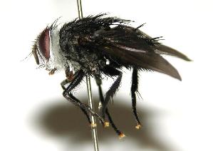  ( - DHJPAR0001803)  @14 [ ] Unspecified (default): All Rights Reserved  Unspecified Unspecified