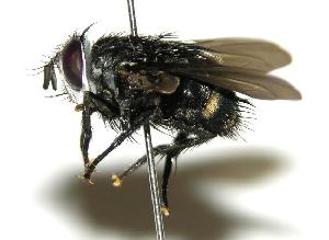  ( - DHJPAR0001808)  @14 [ ] Unspecified (default): All Rights Reserved  Unspecified Unspecified