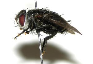  ( - DHJPAR0001809)  @14 [ ] Unspecified (default): All Rights Reserved  Unspecified Unspecified