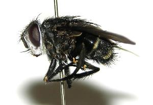  ( - DHJPAR0001818)  @14 [ ] Unspecified (default): All Rights Reserved  Unspecified Unspecified