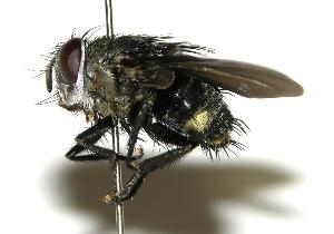  ( - DHJPAR0001822)  @14 [ ] Unspecified (default): All Rights Reserved  Unspecified Unspecified