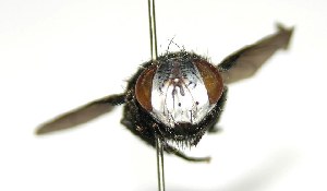  ( - DHJPAR0001843)  @13 [ ] Unspecified (default): All Rights Reserved  Unspecified Unspecified