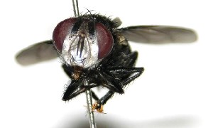  ( - DHJPAR0003638)  @14 [ ] Unspecified (default): All Rights Reserved  Unspecified Unspecified