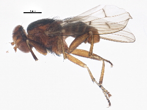  ( - BIOUG02593-F02)  @13 [ ] CreativeCommons - Attribution (2013) CBG Photography Group Centre for Biodiversity Genomics