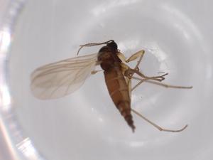  ( - BIOUG62573-E05)  @11 [ ] CreativeCommons - Attribution (2020) Centre for Biodiversity Genomics Centre for Biodiversity Genomics