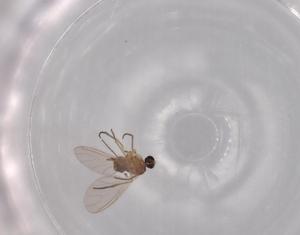  ( - BIOUG63156-H02)  @11 [ ] CreativeCommons - Attribution (2020) Centre for Biodiversity Genomics Centre for Biodiversity Genomics