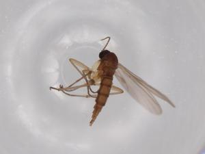  ( - BIOUG63222-E11)  @11 [ ] CreativeCommons - Attribution (2020) Centre for Biodiversity Genomics Centre for Biodiversity Genomics