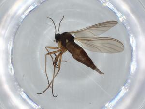  ( - BIOUG63224-C08)  @11 [ ] CreativeCommons - Attribution (2020) Centre for Biodiversity Genomics Centre for Biodiversity Genomics