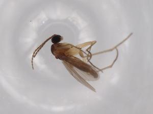  ( - BIOUG63226-D10)  @11 [ ] CreativeCommons - Attribution (2020) Centre for Biodiversity Genomics Centre for Biodiversity Genomics