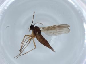  ( - BIOUG63240-D12)  @11 [ ] CreativeCommons - Attribution (2020) Centre for Biodiversity Genomics Centre for Biodiversity Genomics