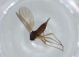  ( - BIOUG63242-E10)  @11 [ ] CreativeCommons - Attribution (2020) Centre for Biodiversity Genomics Centre for Biodiversity Genomics