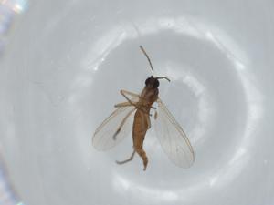  ( - BIOUG61388-E10)  @11 [ ] CreativeCommons - Attribution (2020) Centre for Biodiversity Genomics Centre for Biodiversity Genomics