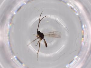  ( - BIOUG61395-E03)  @11 [ ] CreativeCommons - Attribution (2020) Centre for Biodiversity Genomics Centre for Biodiversity Genomics