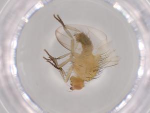  ( - BIOUG62876-E11)  @11 [ ] CreativeCommons - Attribution (2020) Centre for Biodiversity Genomics Centre for Biodiversity Genomics