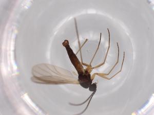  ( - BIOUG62882-D10)  @11 [ ] CreativeCommons - Attribution (2020) Centre for Biodiversity Genomics Centre for Biodiversity Genomics