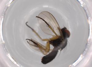  ( - BIOUG62894-D03)  @11 [ ] CreativeCommons - Attribution (2020) Centre for Biodiversity Genomics Centre for Biodiversity Genomics