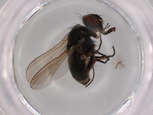  ( - BIOUG62894-E07)  @11 [ ] CreativeCommons - Attribution (2020) Centre for Biodiversity Genomics Centre for Biodiversity Genomics