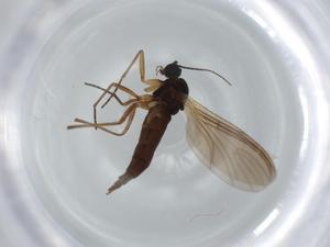  ( - BIOUG62899-H05)  @11 [ ] CreativeCommons - Attribution (2020) Centre for Biodiversity Genomics Centre for Biodiversity Genomics